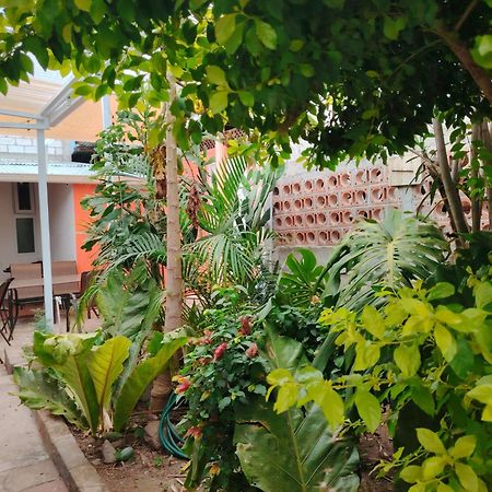 El Chirris B&B San Juan La Laguna Exteriör bild