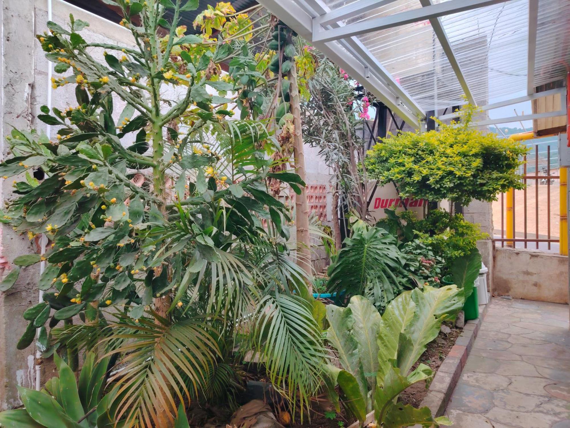 El Chirris B&B San Juan La Laguna Exteriör bild